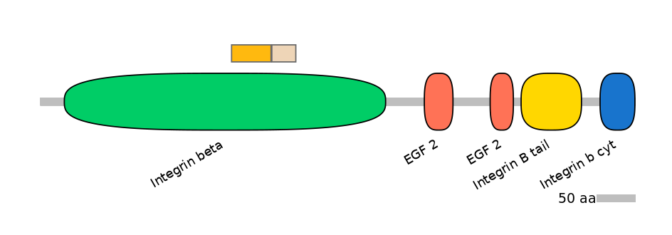 HsaINT0082841-EXC