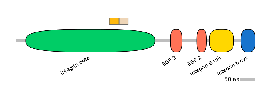 HsaINT0082842-EXC