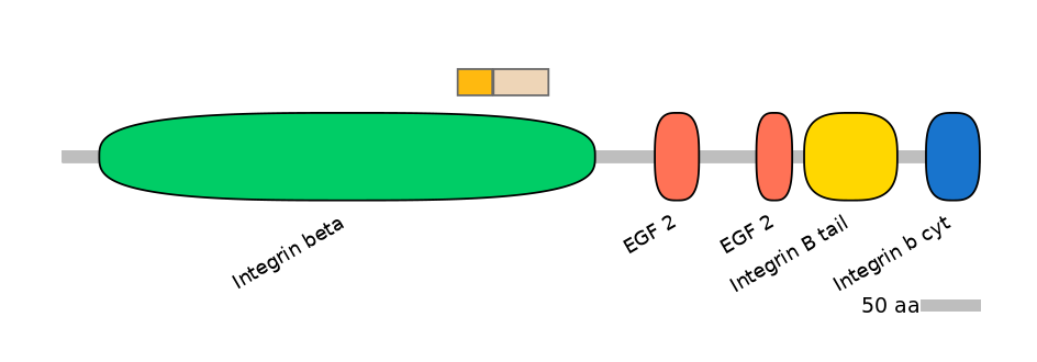 HsaINT0082843-EXC