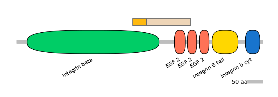 HsaINT0082922-EXC