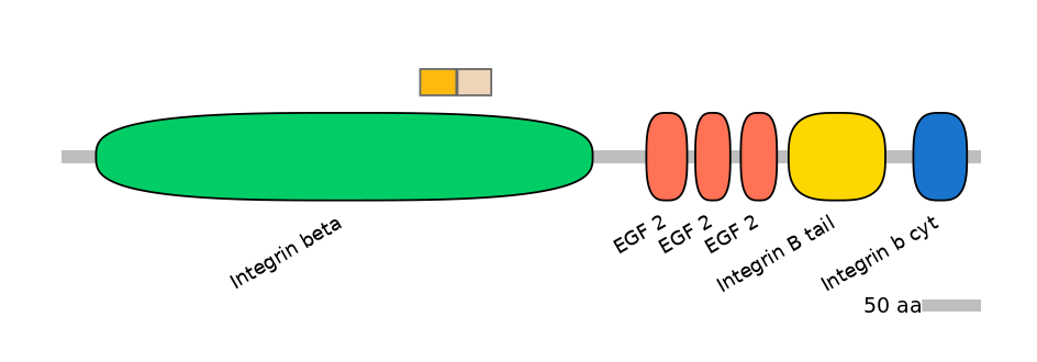 HsaINT0082934-EXC
