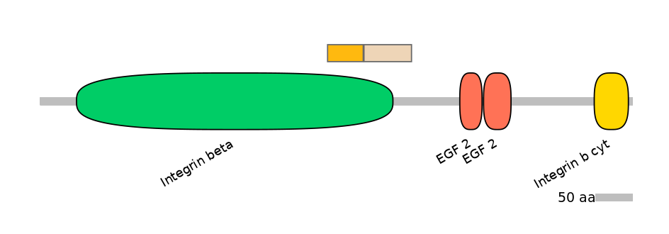 HsaINT0082938-EXC