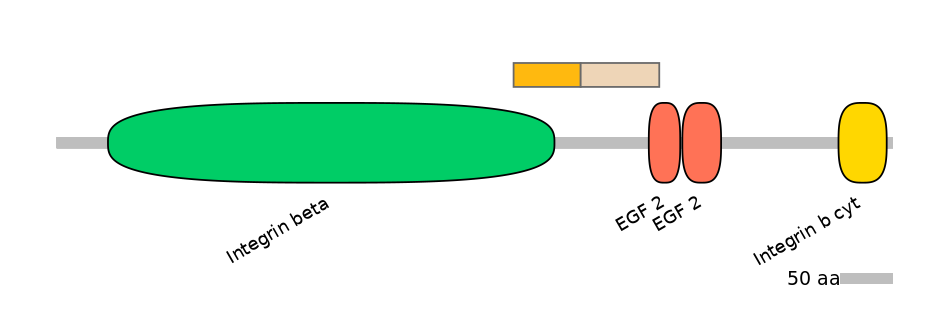 HsaINT0082939-EXC