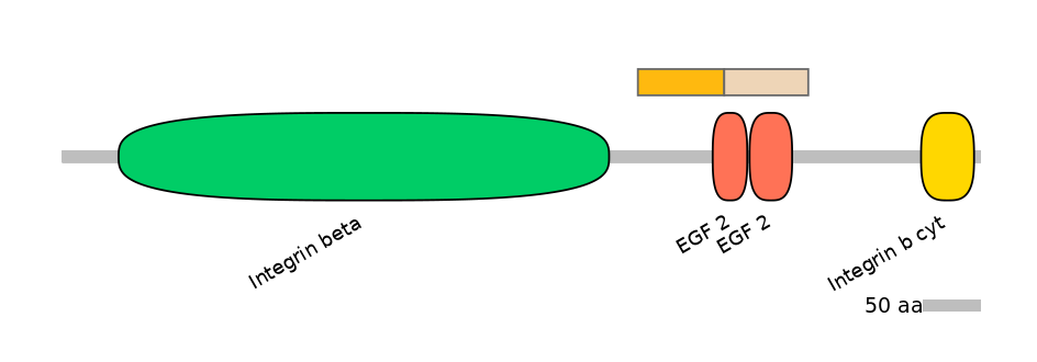 HsaINT0082940-EXC