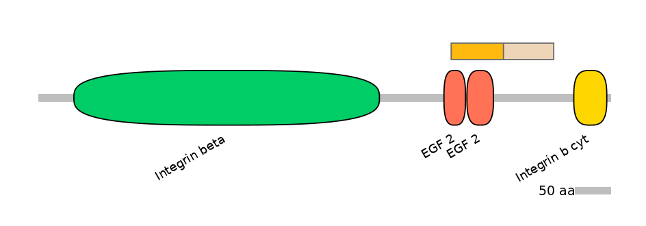 HsaINT0082941-EXC