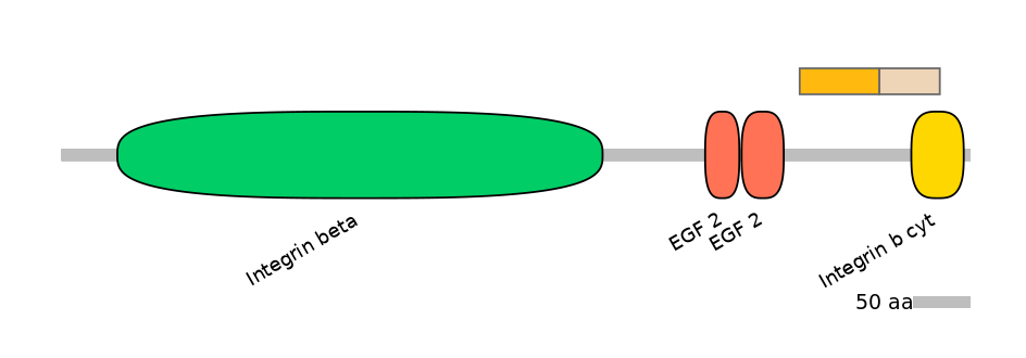 HsaINT0082942-EXC