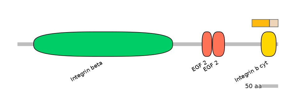 HsaINT0082943-EXC
