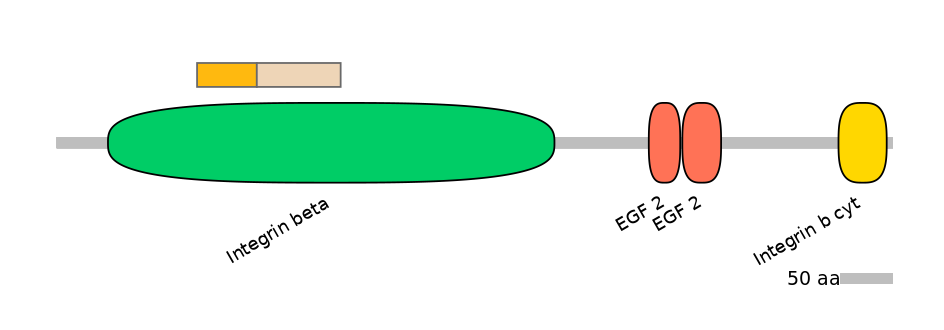 HsaINT0082947-EXC