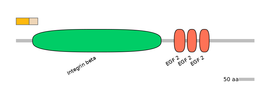 HsaINT0082952-EXC
