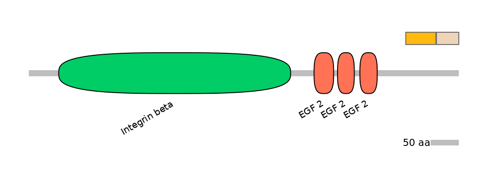 HsaINT0082956-EXC