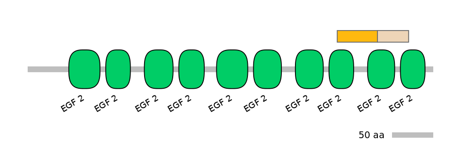 HsaINT0082974-EXC