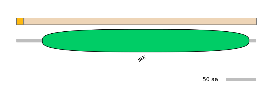 HsaINT0084445-EXC