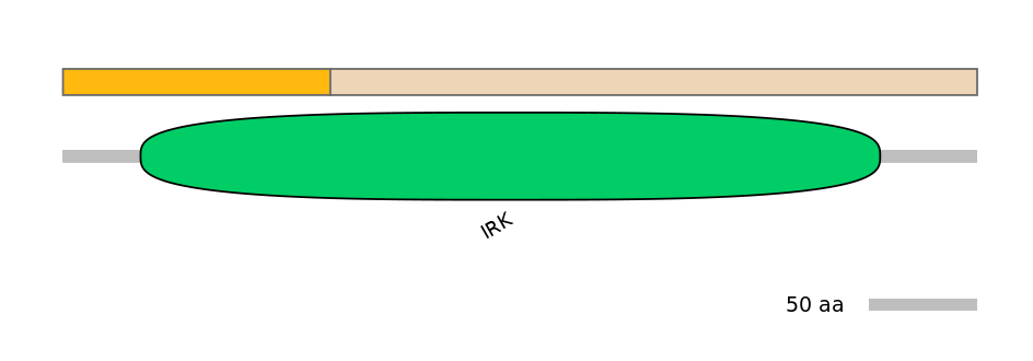 HsaINT0084478-EXC