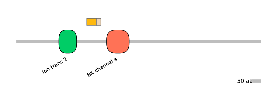 HsaINT0084727-EXC