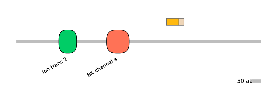 HsaINT0084735-EXC
