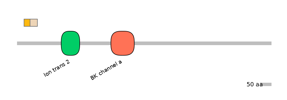 HsaINT0084736-EXC