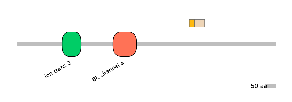 HsaINT0084737-EXC
