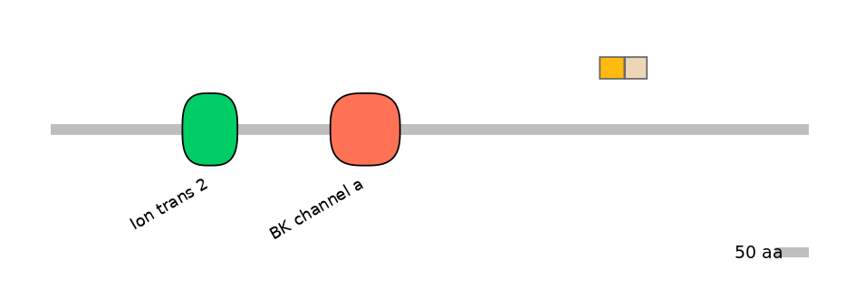 HsaINT0084739-EXC