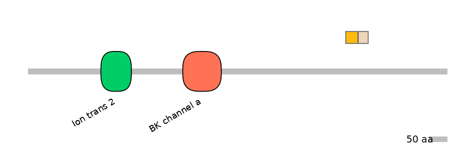 HsaINT0084740-EXC