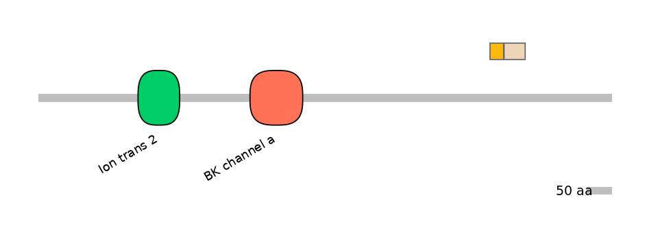 HsaINT0084741-EXC