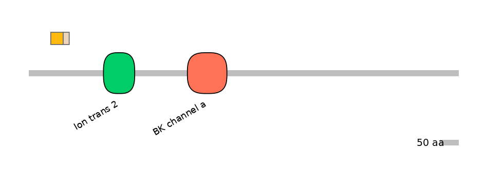 HsaINT0084745-EXC