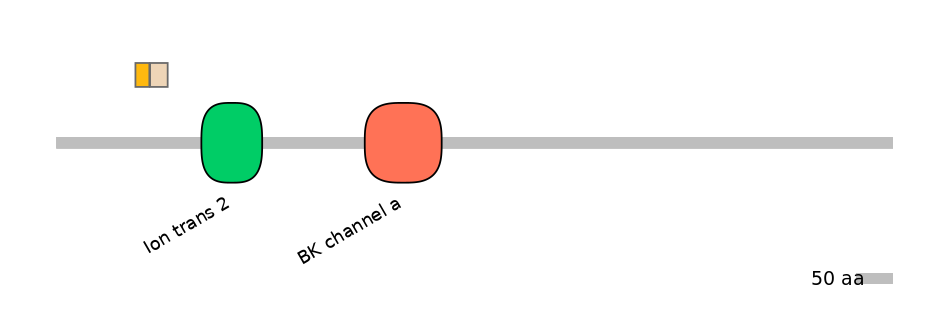 HsaINT0084747-EXC
