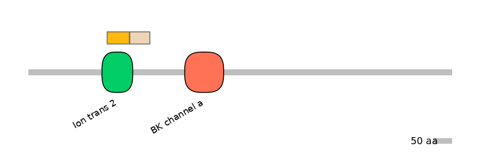 HsaINT0084751-EXC
