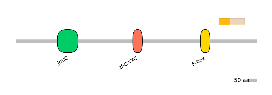 HsaINT0085001-EXC