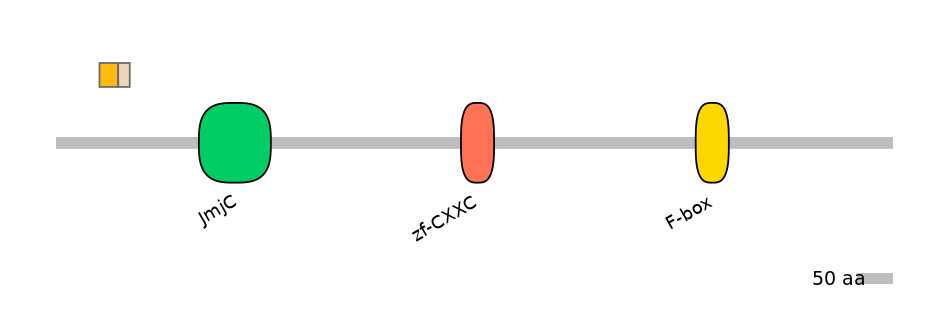 HsaINT0085005-EXC