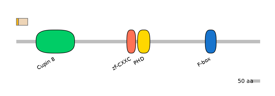HsaINT0085011-EXC