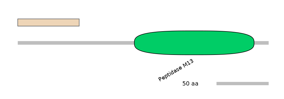 HsaINT0085014-INC