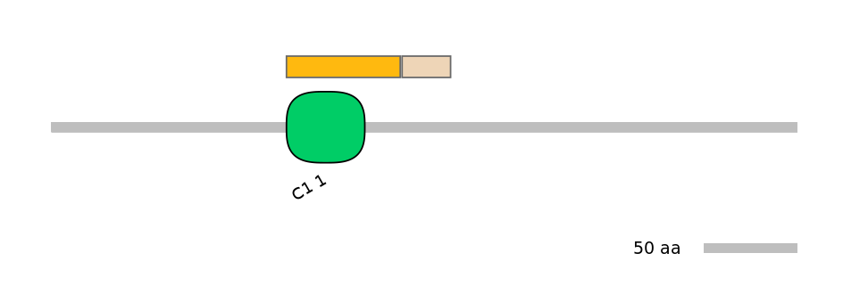 HsaINT0086388-EXC