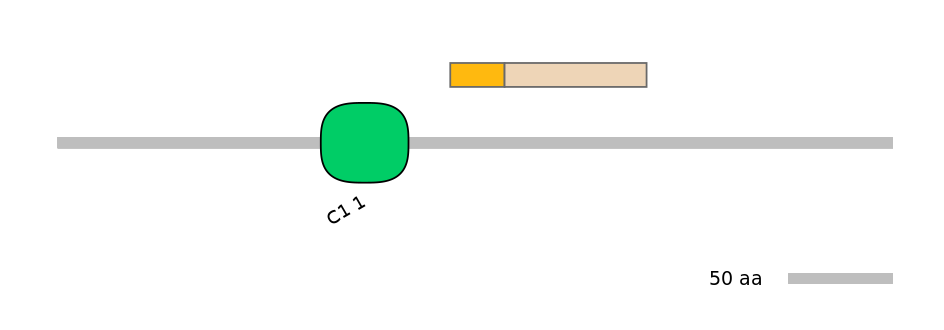 HsaINT0086389-EXC