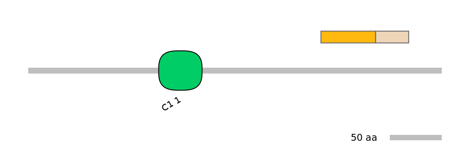 HsaINT0086391-EXC