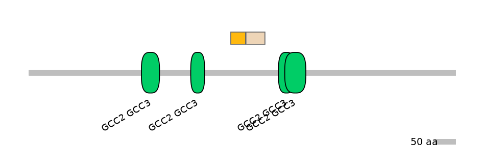 HsaINT0086681-EXC