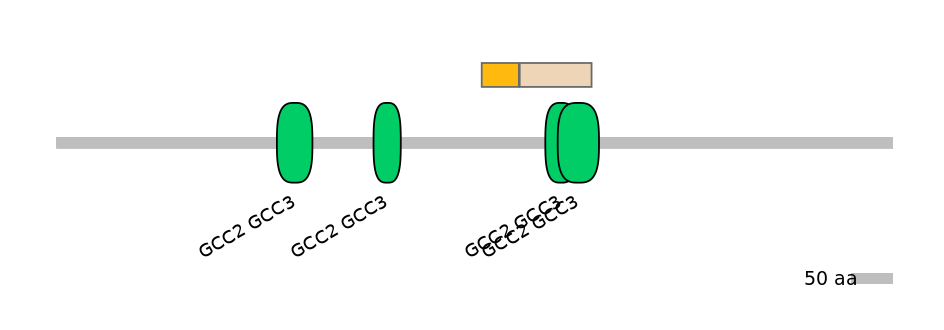 HsaINT0086682-EXC
