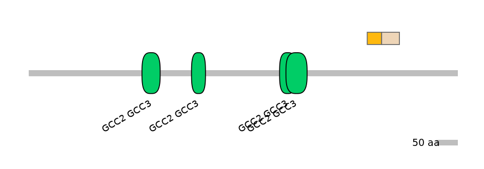 HsaINT0086687-EXC