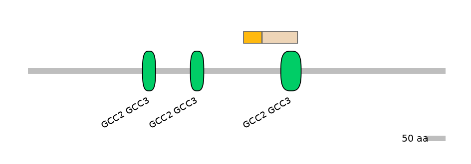 HsaINT0086703-EXC