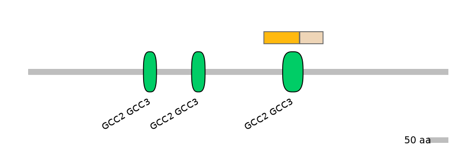HsaINT0086704-EXC
