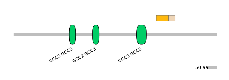 HsaINT0086706-EXC