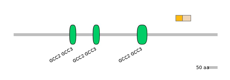 HsaINT0086708-EXC