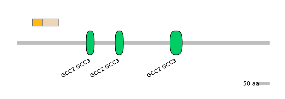 HsaINT0086710-EXC