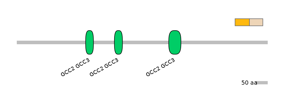 HsaINT0086711-EXC