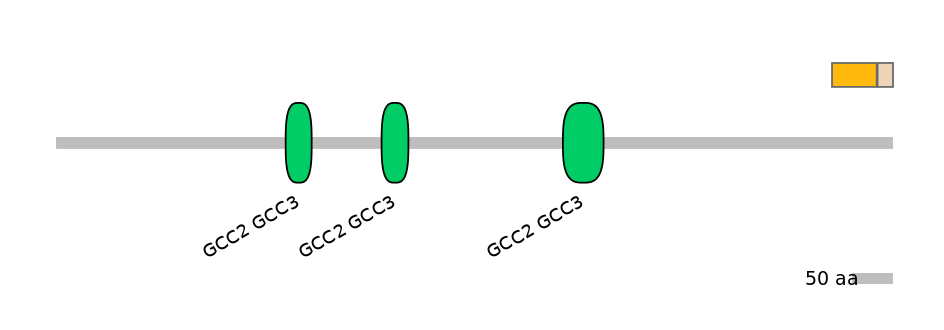 HsaINT0086712-EXC
