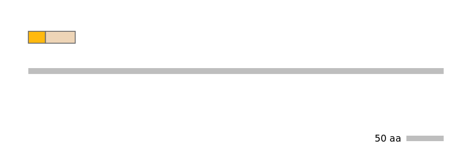 HsaINT0087323-EXC