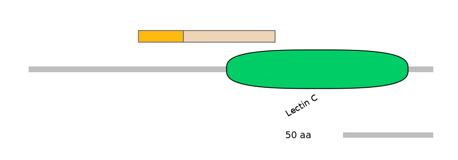 HsaINT0088947-EXC