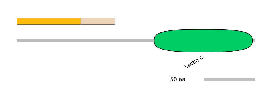 HsaINT0088957-EXC
