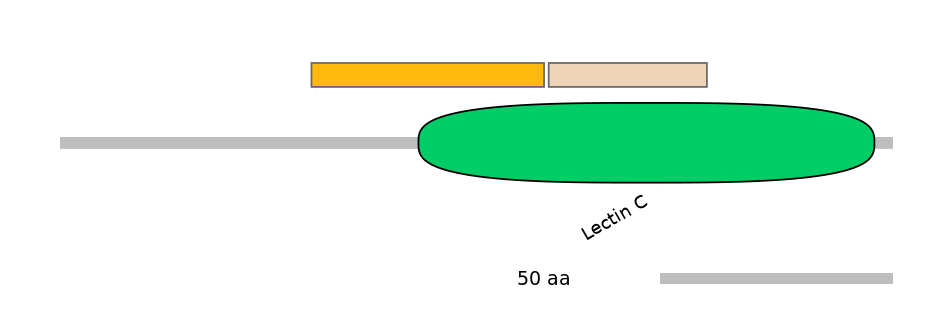 HsaINT0088973-EXC