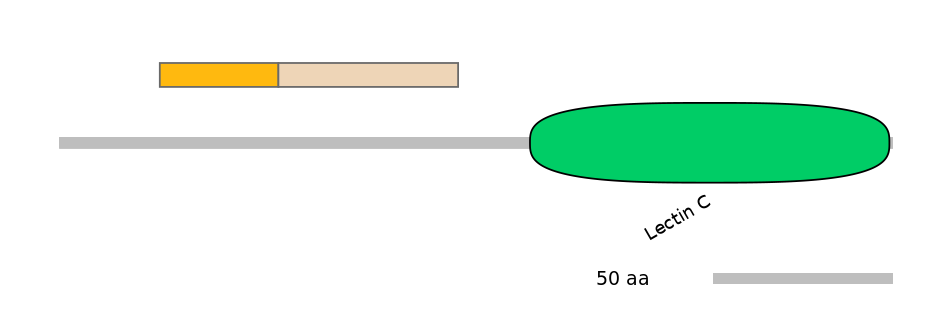 HsaINT0088977-EXC