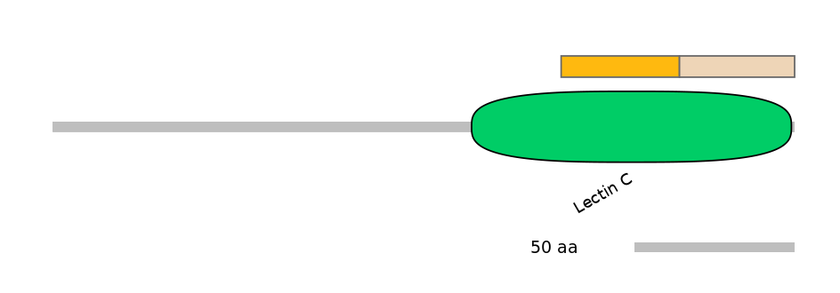 HsaINT0088980-EXC